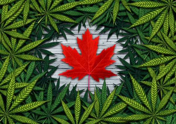 Two Years In: Managing the Risks Associated with the Cannabis Sector in Canada - Video Archive available now